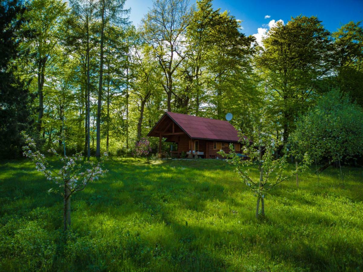 Villa Silent Orchard Naklo Esterno foto